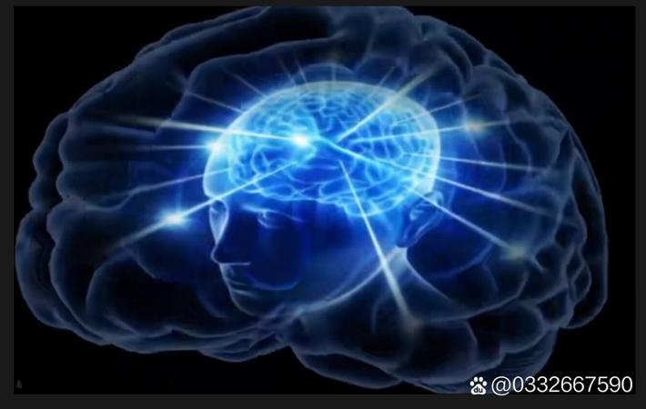 最新黑料 - 某男星在综艺中暴露真实人品，网友集体抵制